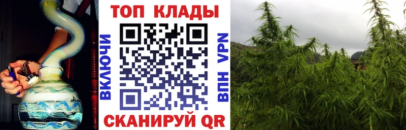 Как найти закладки Алексеевка ГАШ МАРИХУАНА ссылка на мегу зеркало ГЕРОИН Меф мяу мяу Cocaine