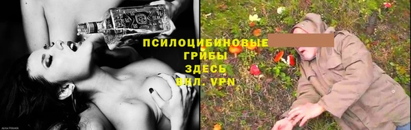 дурь Алзамай