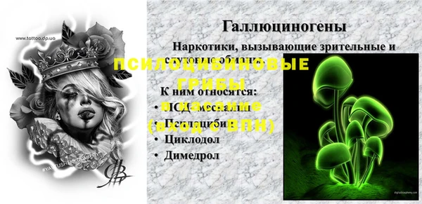 прущий лед Алексин
